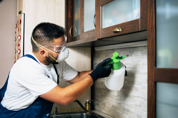 Best Pest Control Near Me  in South Paris, ME