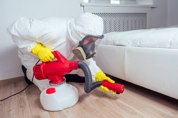Best Commercial Pest Control Services  in South Paris, ME